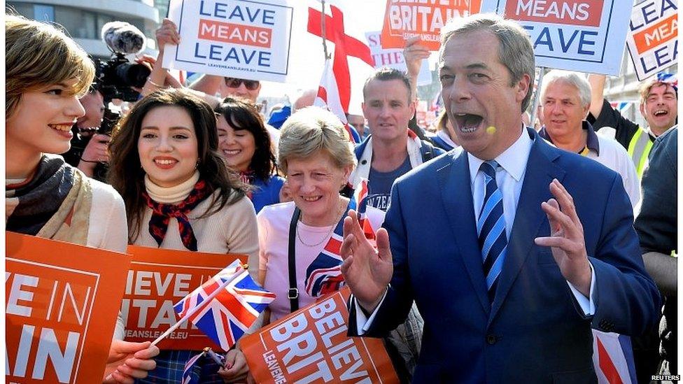 Nigel Farage at a Leave Means Leave rally