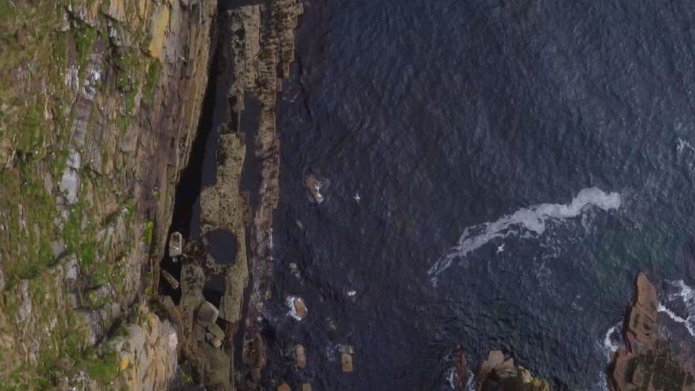 Drone footage of fulmars in Orkney