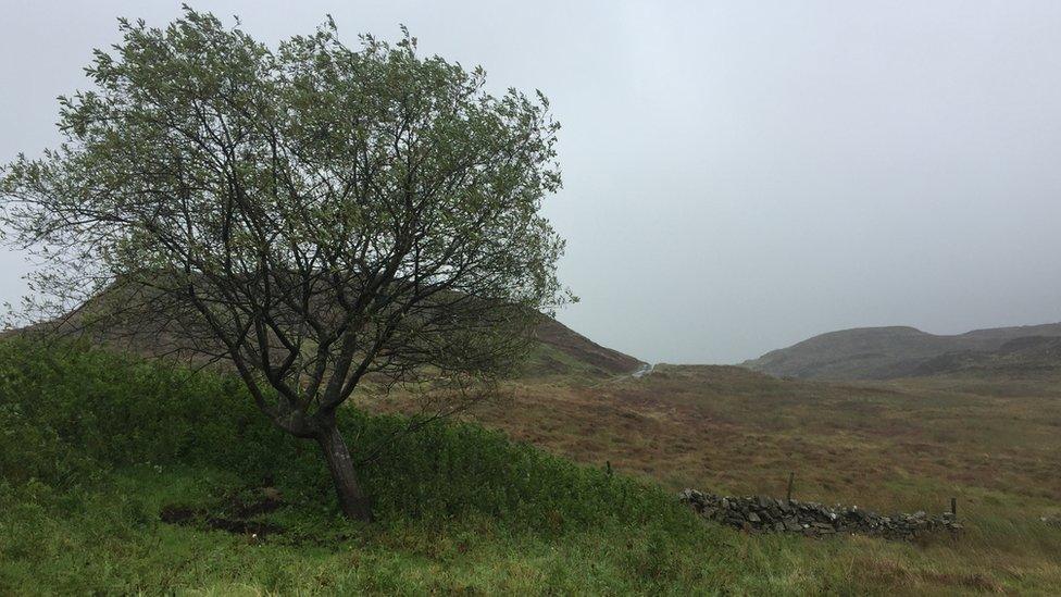 The wall in the picture separates this upland area of the Irish Republic from Northern Ireland.