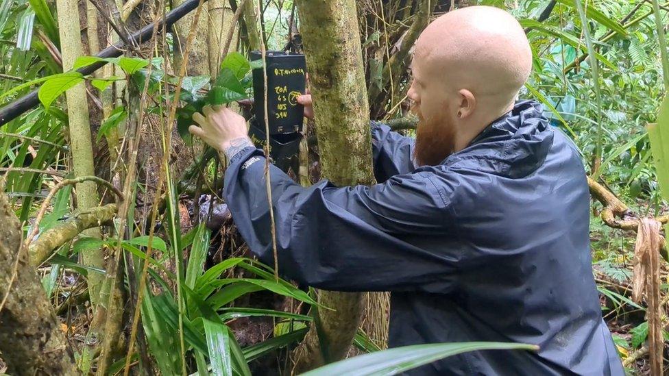 Tyrone Capel releasing snails