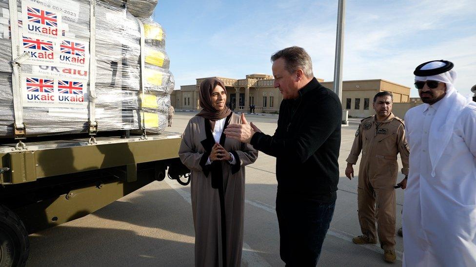 David Cameron with Qatar's Minister of State for International Cooperation