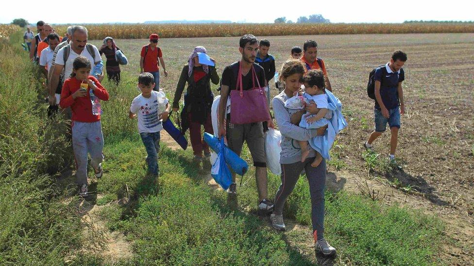 A group of migrants walk on the Serbian side of the border with Croatia, near the town of Sid.