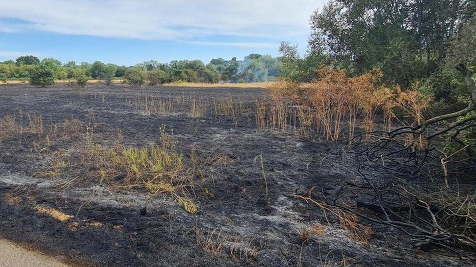 A grassland fire in Briar Hill, Northampton