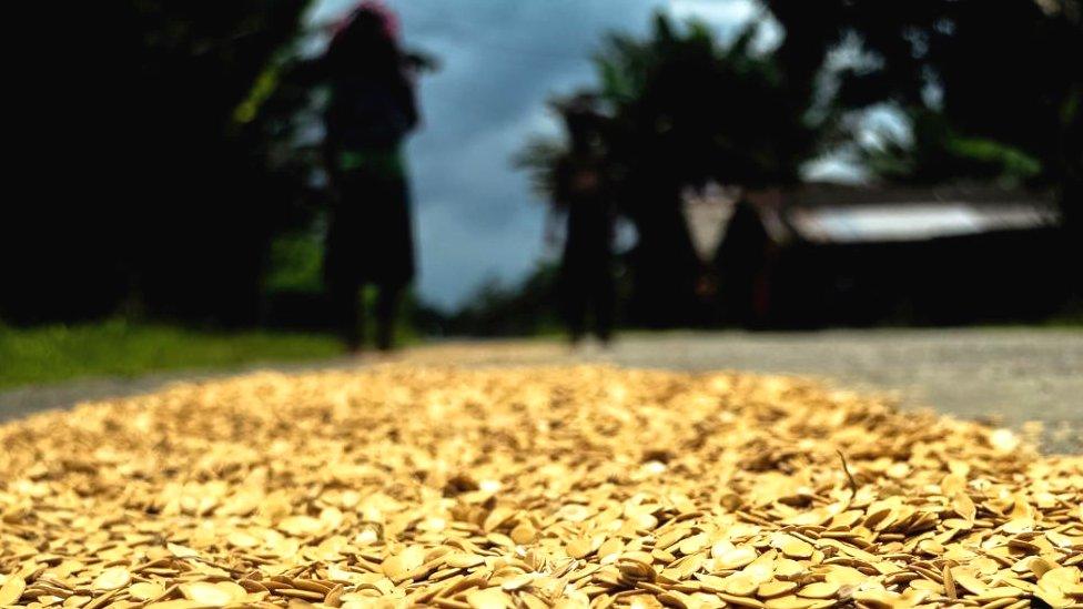 Egusi melon seeds in Port Harcourt, Nigeria