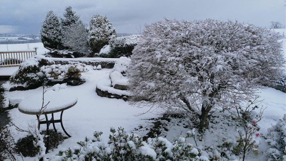 Garden view in Nerwcys, near Mold