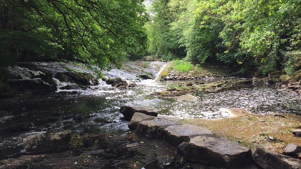 Tollymore Forest Park