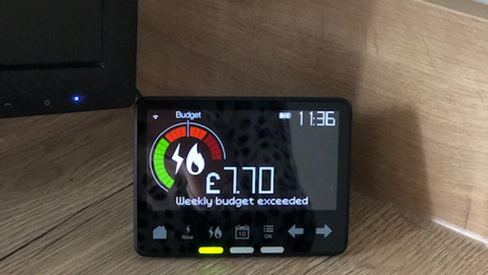 Karen Alexandra's smart meter