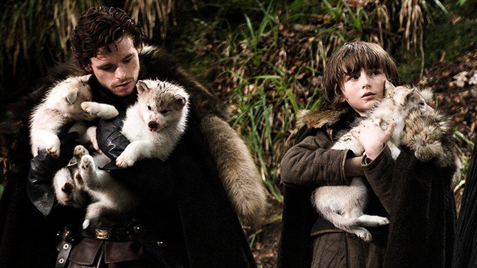 Robb Stark and Bran Stark with their new direwolf pups