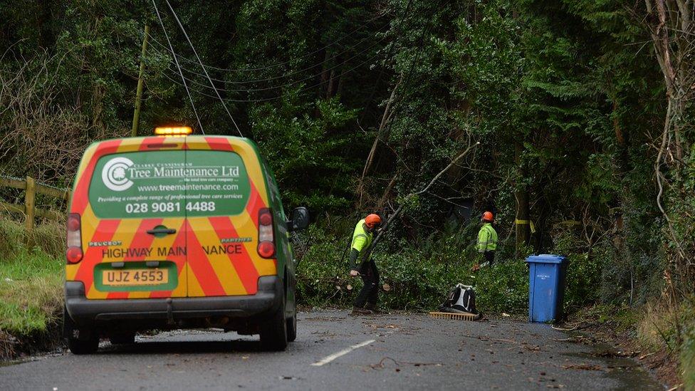 Fallen trees Dundonald