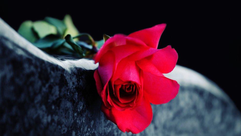 Rose on grave