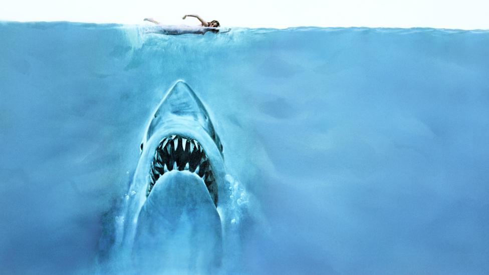 Artwork from the film poster for Jaws