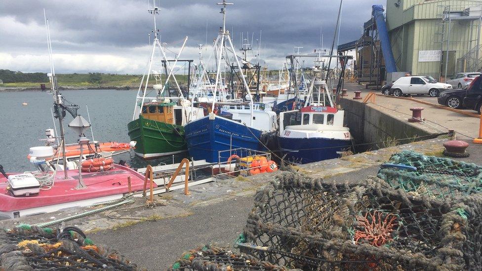 Fishing boats in a harbour