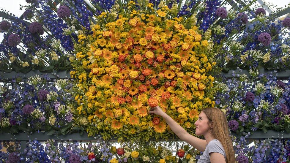 Flower display