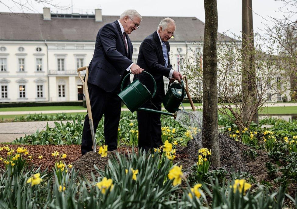 Britain's King Charles III (R) and German President Frank-Walter Steinmeier water a tree in the garden of the presidential Bellevue Palace in Berlin