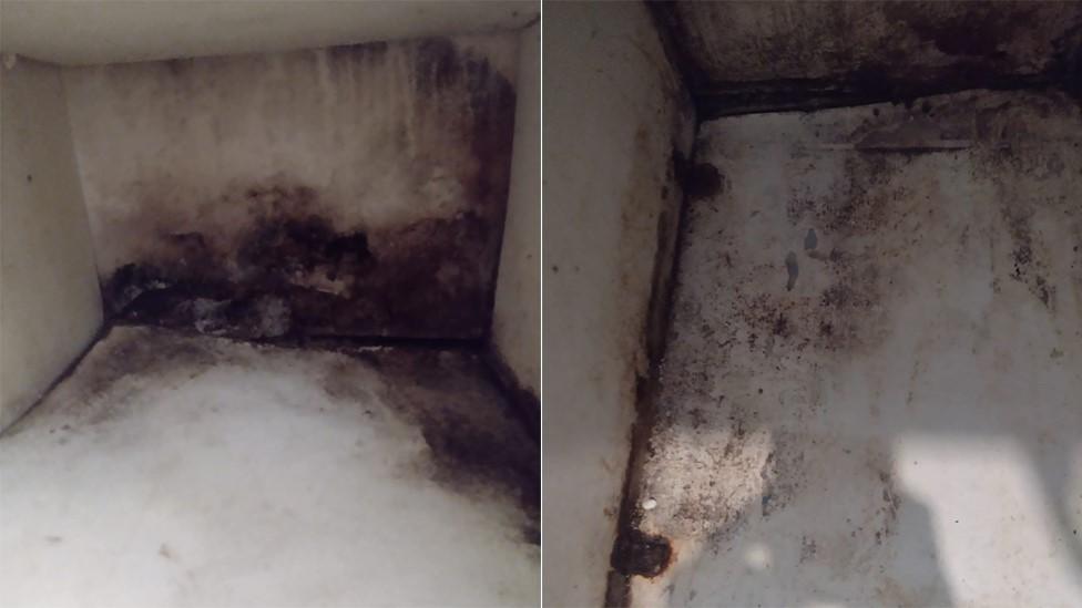 Mould inside cupboards