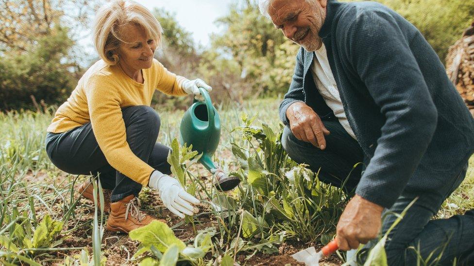 Adults gardening