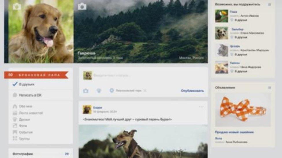 Beta page of Russian pet social media site DruzhOK