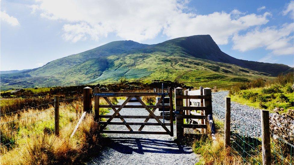 Snowdon