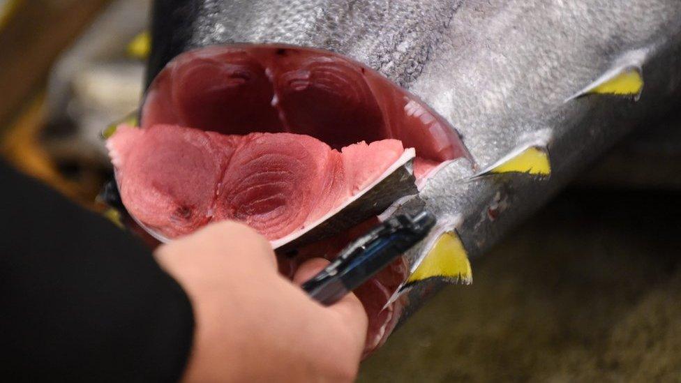 A wholesaler inspects fresh tuna before the first auction of the year at the Tsukiji fish market in Tokyo, Japan, 5 January 2017.