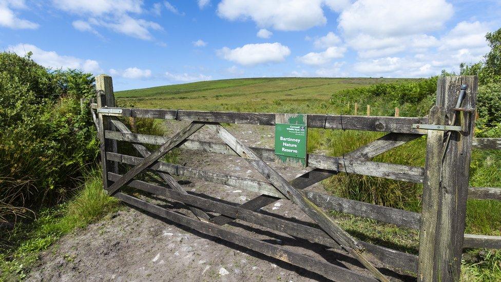 Bartinney nature reserve gate