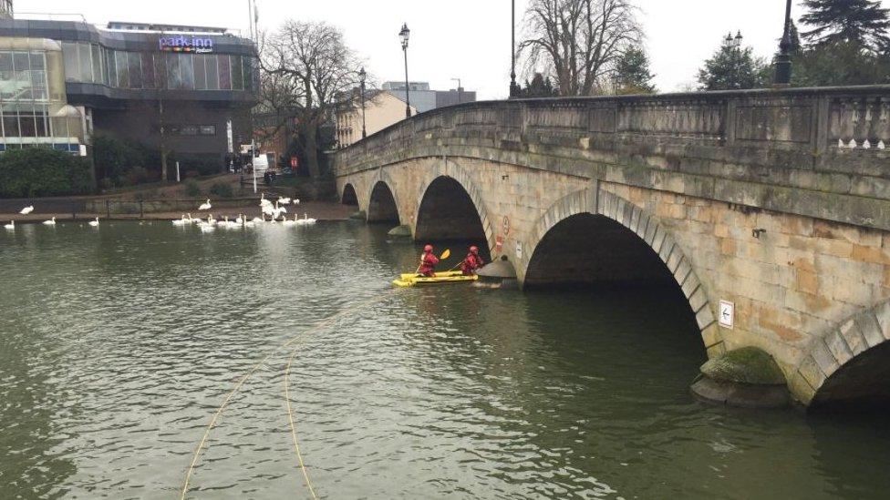 Cat being rescued