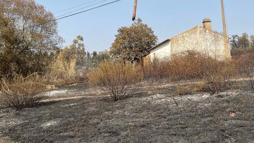 a building surrounded by burnt ground