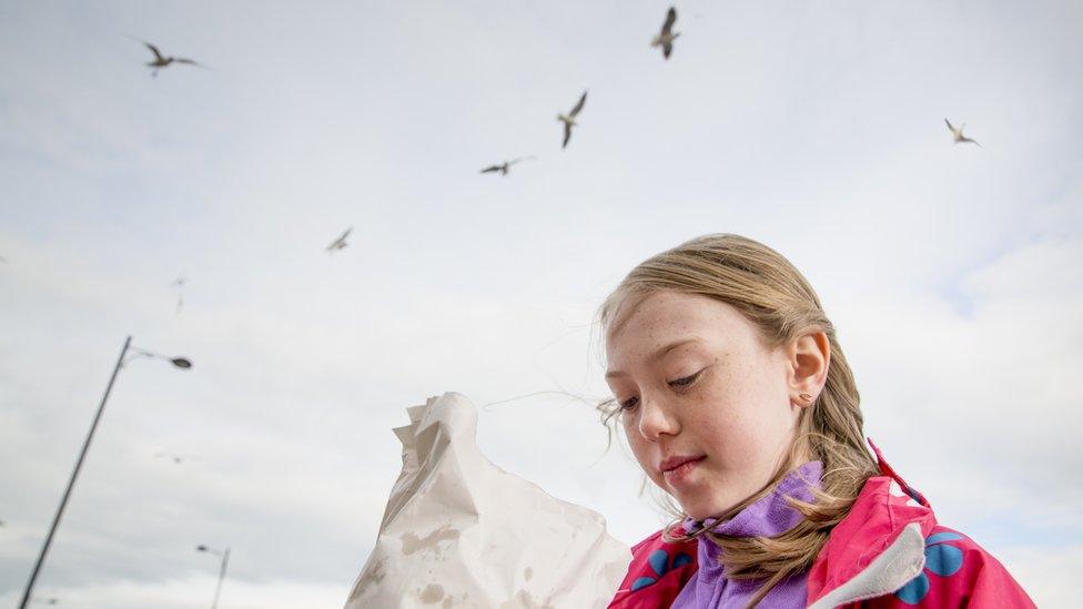 girl-holding-packet-with-seagulls-above.