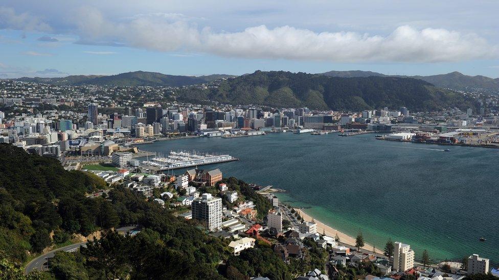 A view of Wellington from a high vantage point