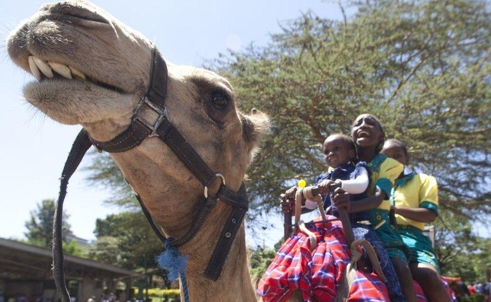 Kenyans ride on a camel during the New Year celebrations at Uhuru Park in Nairobi, Kenya, Friday Jan. 1, 2016. Hundreds of Kenyans gathered with their children to celebrate at the park
