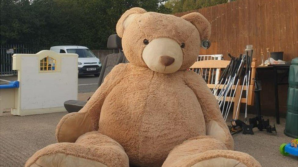 Huge teddy bear rescued from waste tip near Cambridge BBC News