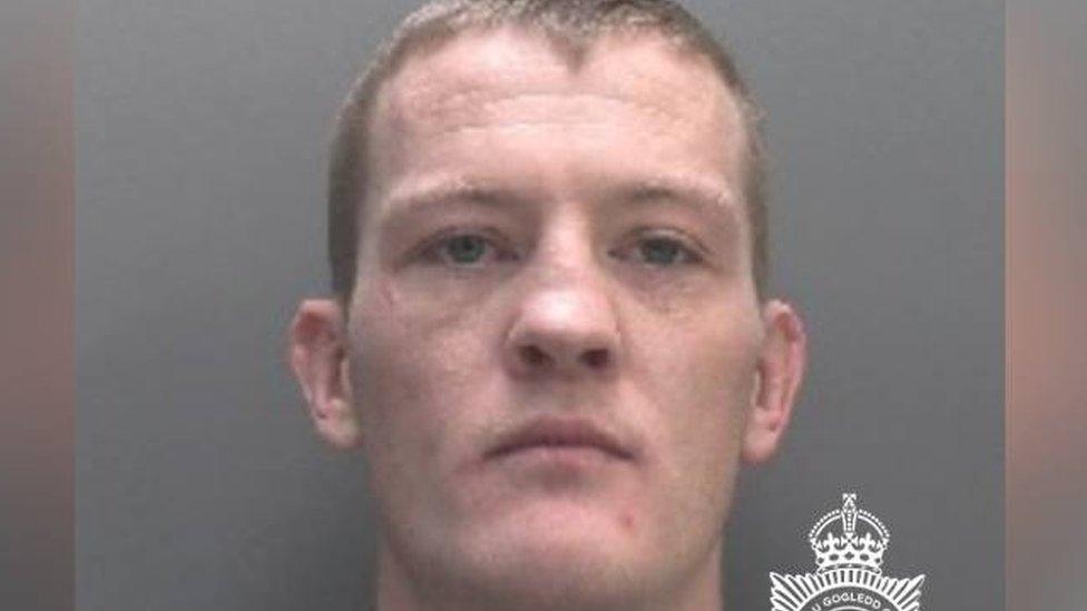 Luke Evans of Blaenau Ffestiniog Jailed for Dangerous Dog Case Involving Suspected XL Bully