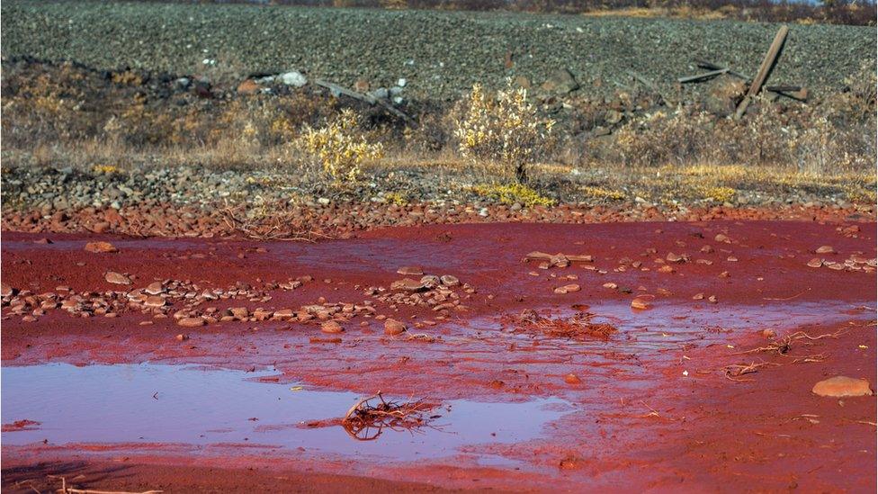 A picture taken on September 8, 2016 shows puddles of the bright red polluted water on the bank of the river Daldykan in the region of the city of Norilsk