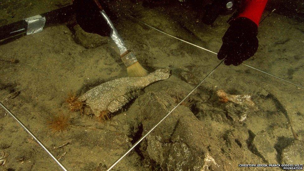 An archaeologist diver using a brush to clear away sand to reveal a bovid jaw discovered under 2.5 cm of sand on the site of Canopus. Bovid are similar to bison and buffalo.