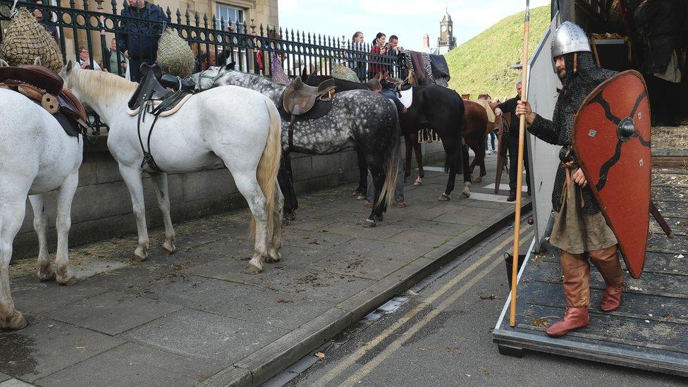 Horses lined up