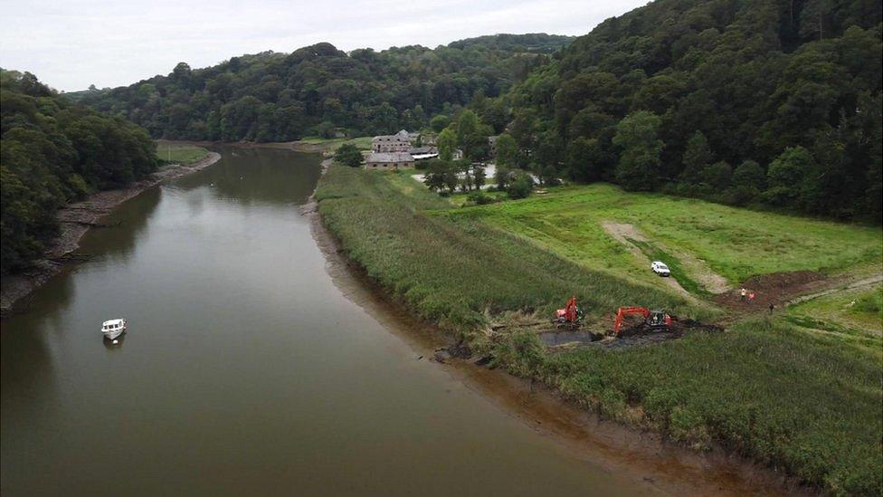 Tamar estuary site