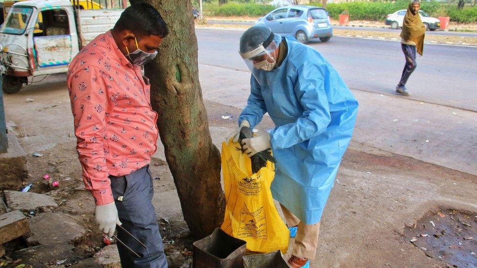 Forest department officials picks up a sick crow from a roadside near Jal Mahal in Jaipur, Rajasthan, India,Tuesday, Jan. 5, 2021.