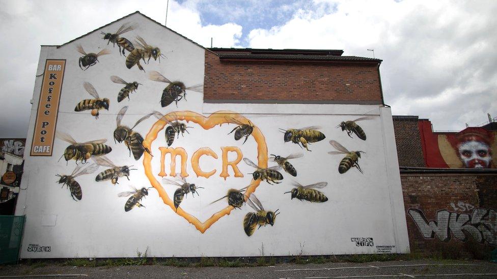 Bees on a Manchester cafe