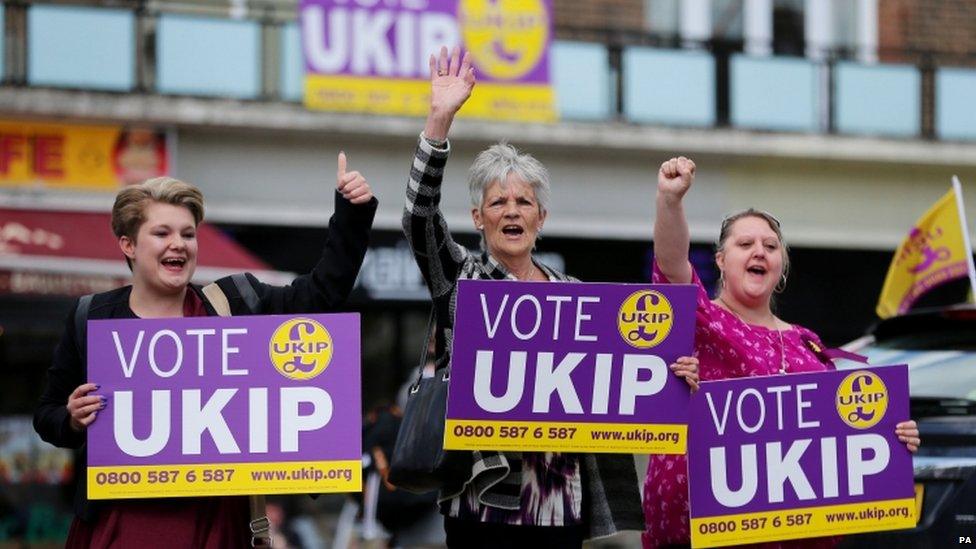 UKIP supporters in Essex