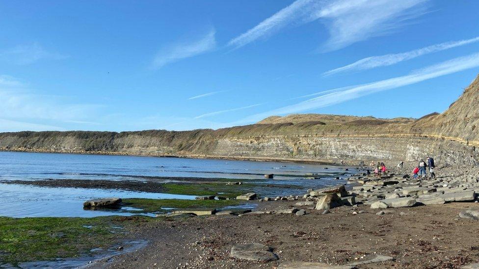 Kimmeridge Bay