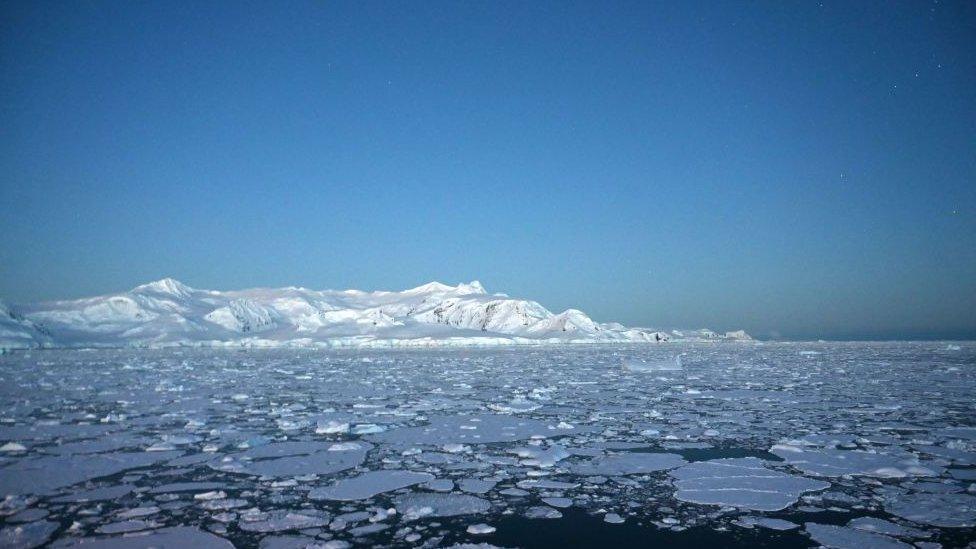 Glaciers at Chiriguano bay in the South Shetland Islands, Antarctica