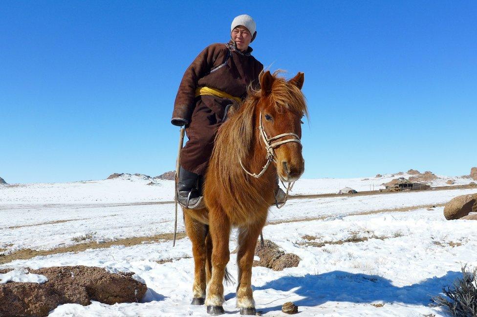 A herdsman on horse, on a snowy plain