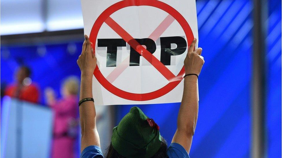 An anti-TPP protestor