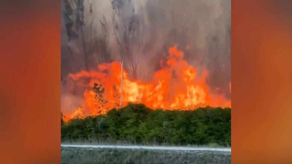 Image of flames and smoke along a Miami highway in Florida