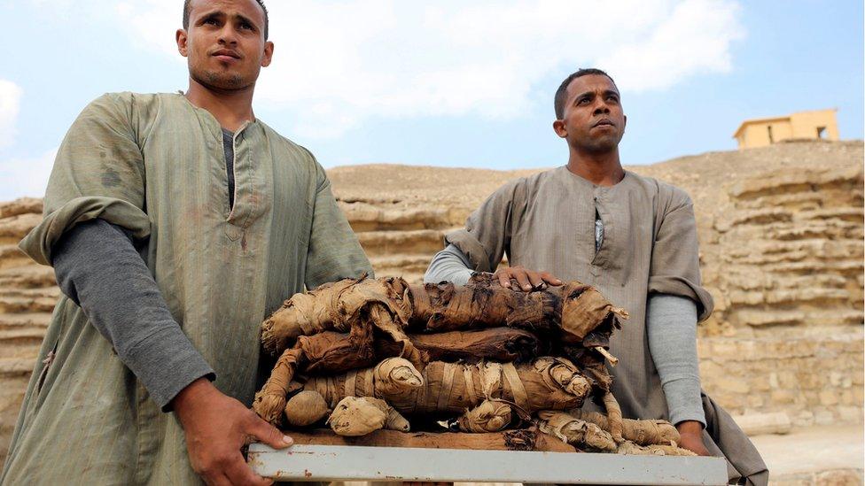 Mummified cats are brought out from a tomb near the King Userkaf pyramid complex in Saqqara Necropolis on November 10, 2018