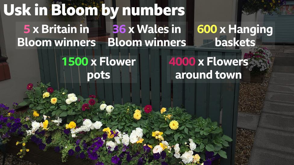 Usk in Bloom in numbers