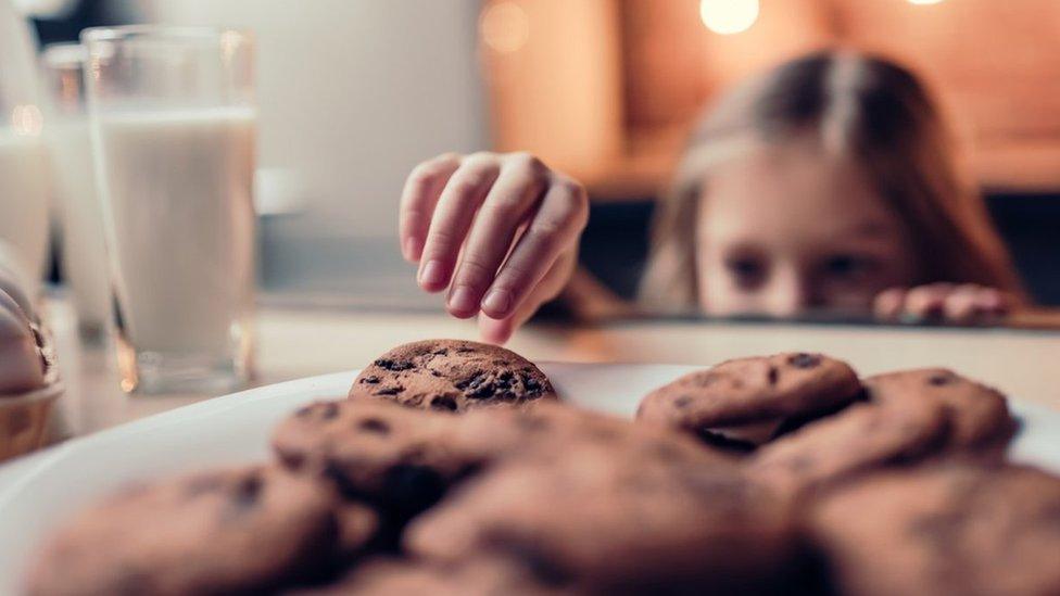 Child-stealing-a-chocolate-biscuit