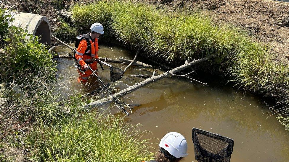 A man is catching fish in a brook using a net