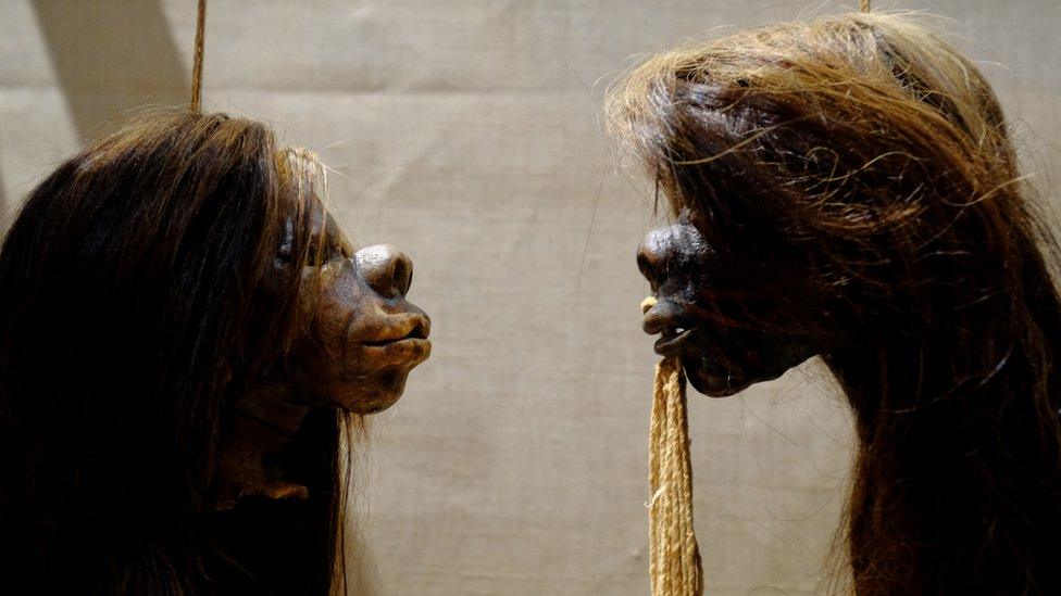 Shrunken heads