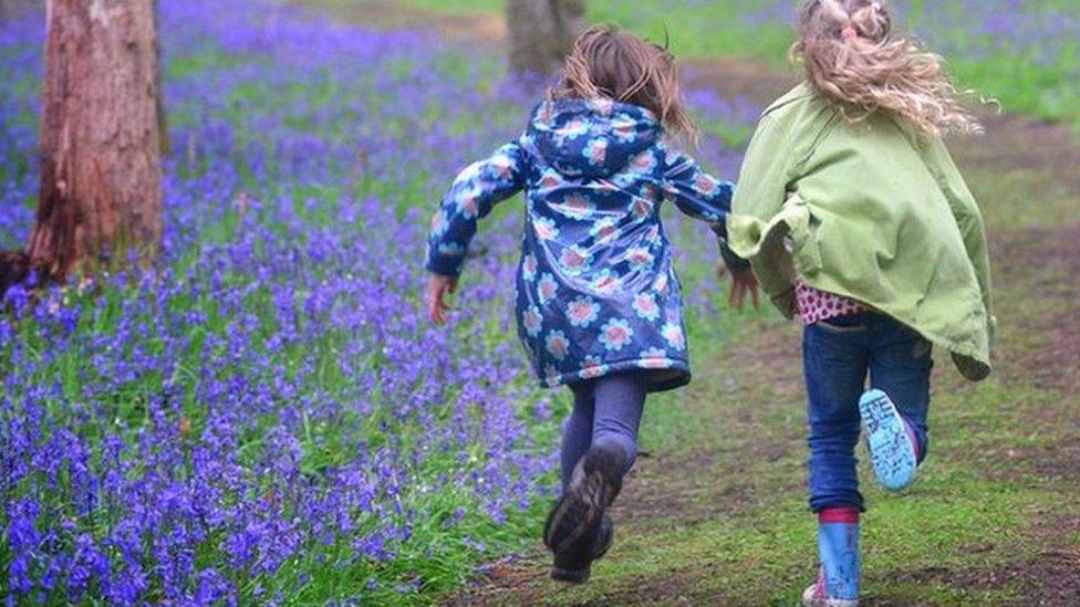 Children in a bluebell wood