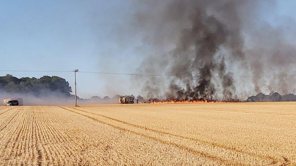 A field fire in Wickham Bishops, Essex